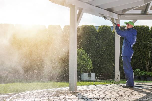 Best Solar Panel Cleaning  in Catlettsburg, KY